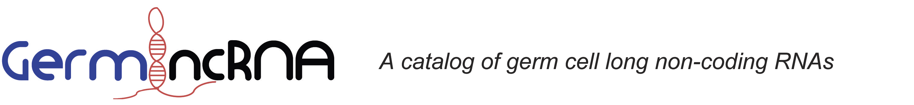 GermlncRNA